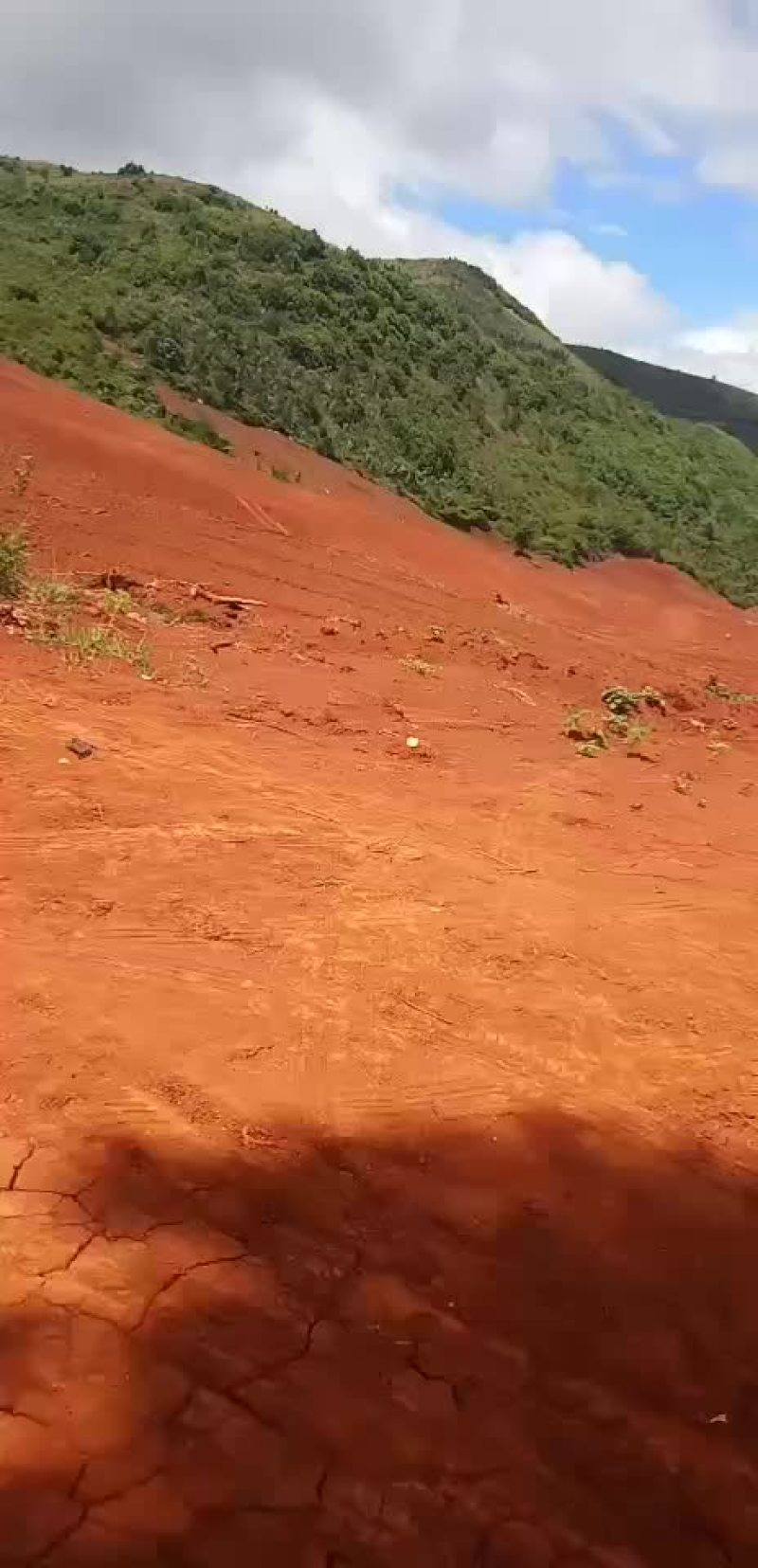 山地出租或转让，本人地多，喜欢农业的朋友联系我