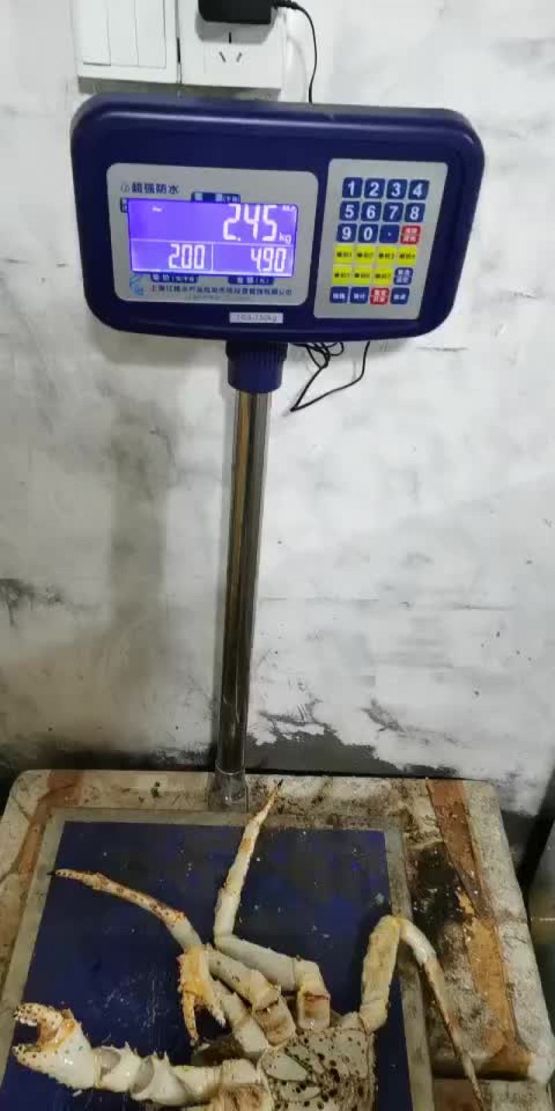 新鲜鲜活深海阿拉斯加帝王蟹