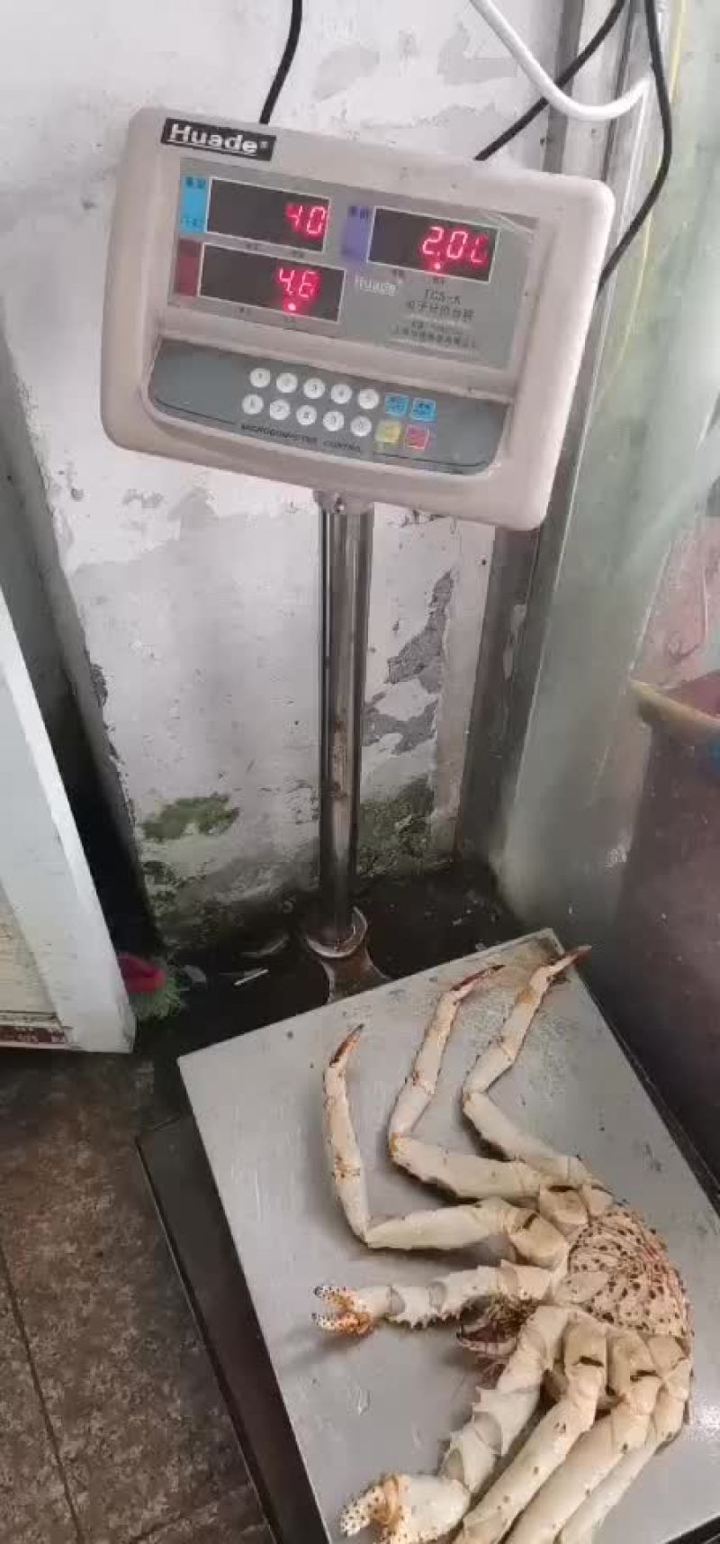 新鲜鲜活深海阿拉斯加帝王蟹
