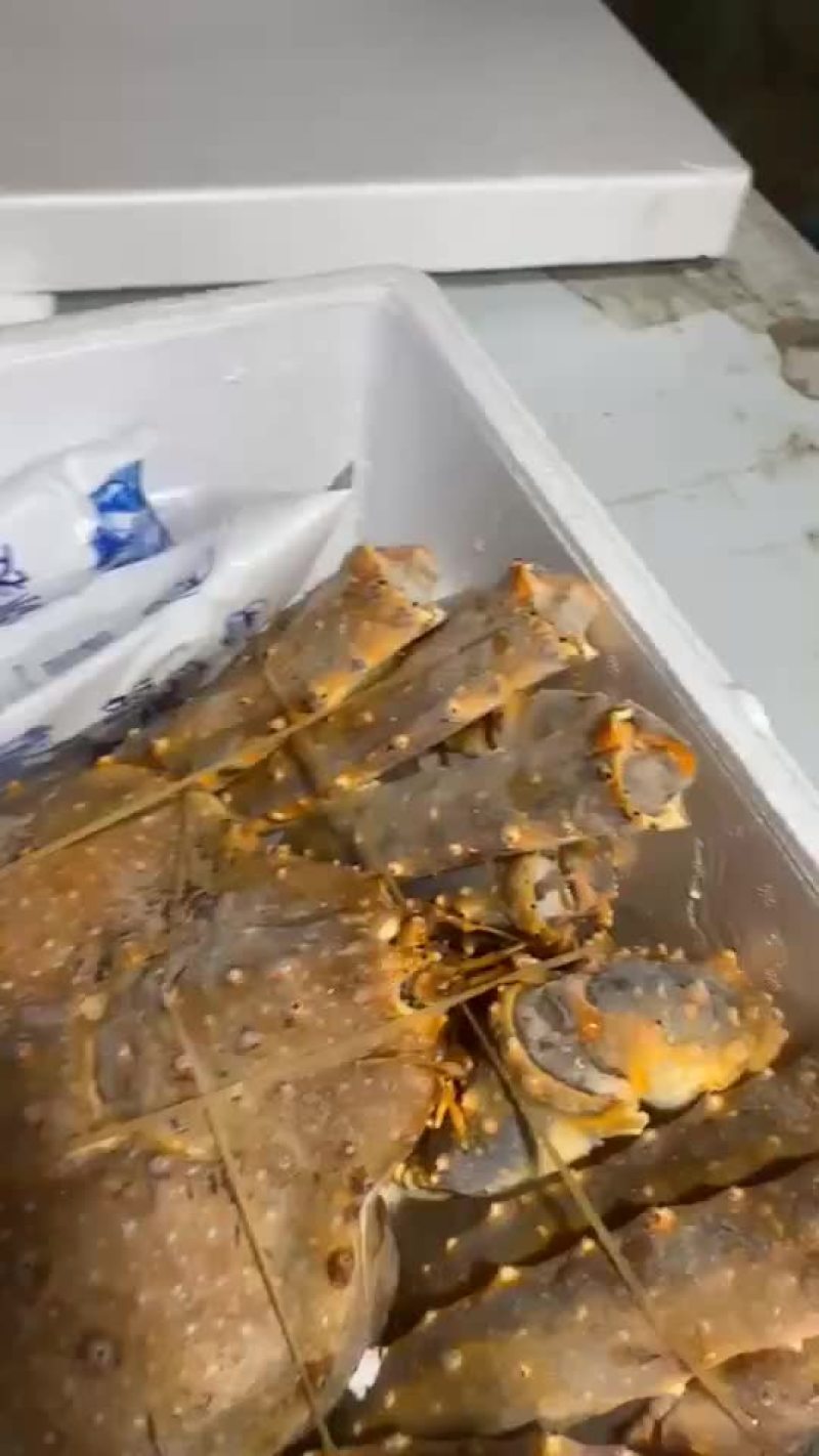 新鲜鲜活深海阿拉斯加帝王蟹