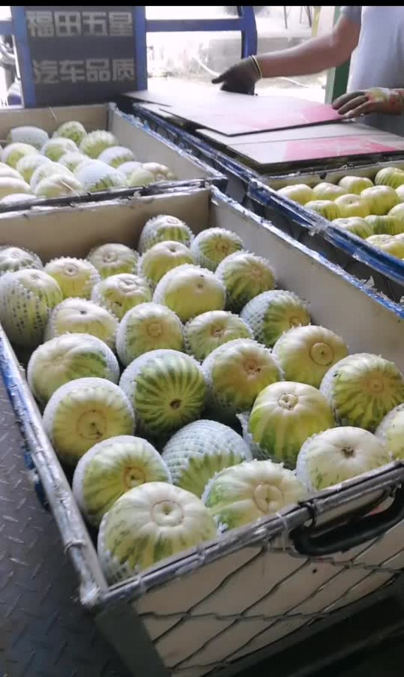 甜瓜
