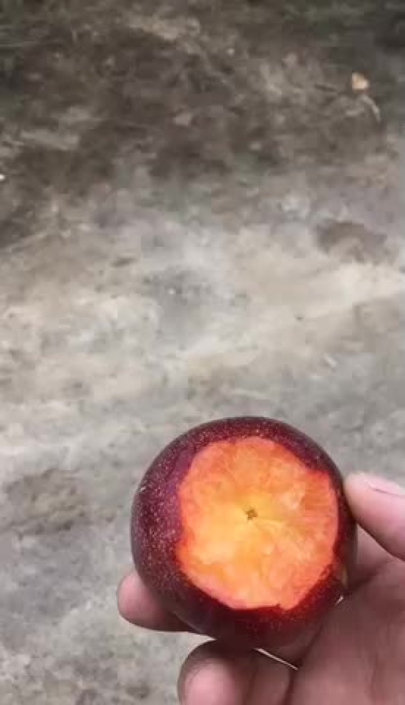 水果