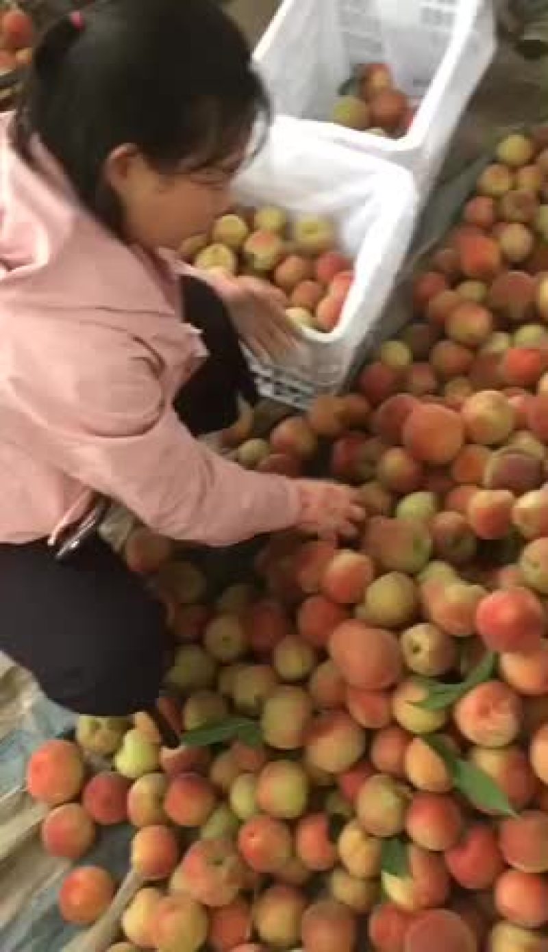 水果