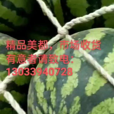 美都西瓜