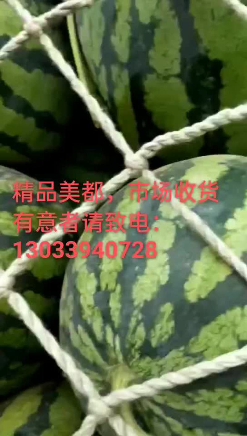 美都西瓜