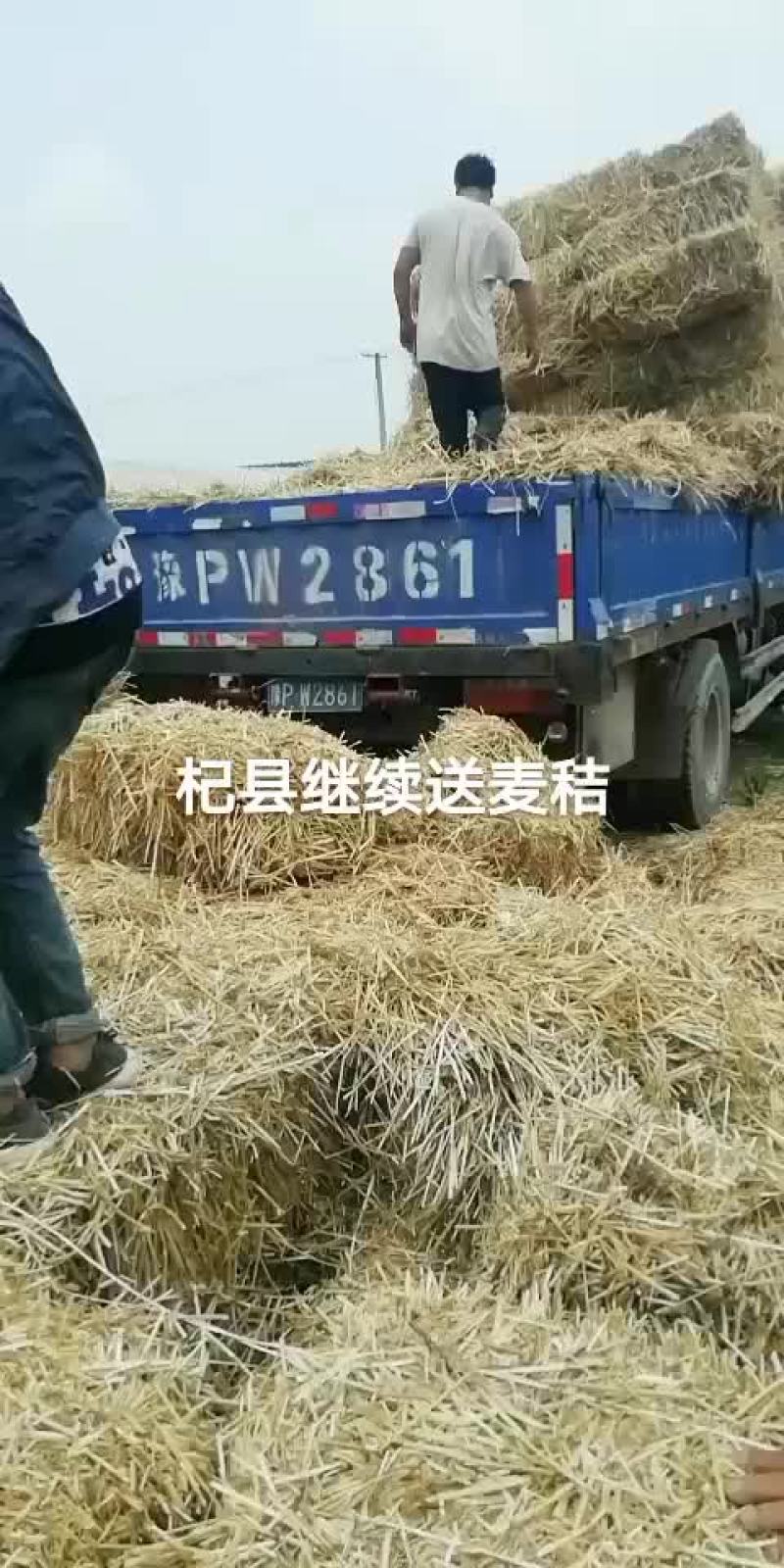 柔丝粉碎二次加工除尘麦秸