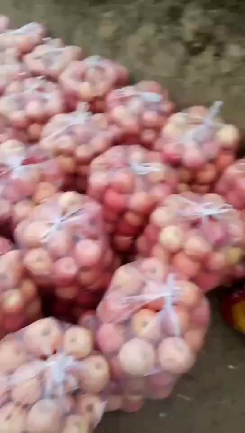 万亩果园陕西高原红富士高检可视频看货产地代发