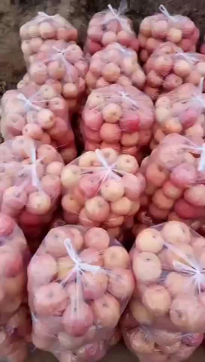 万亩果园陕西高原红富士高检可视频看货产地代发