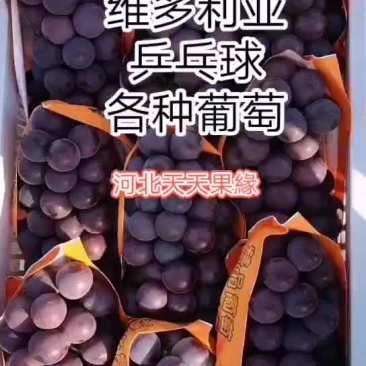 葡萄