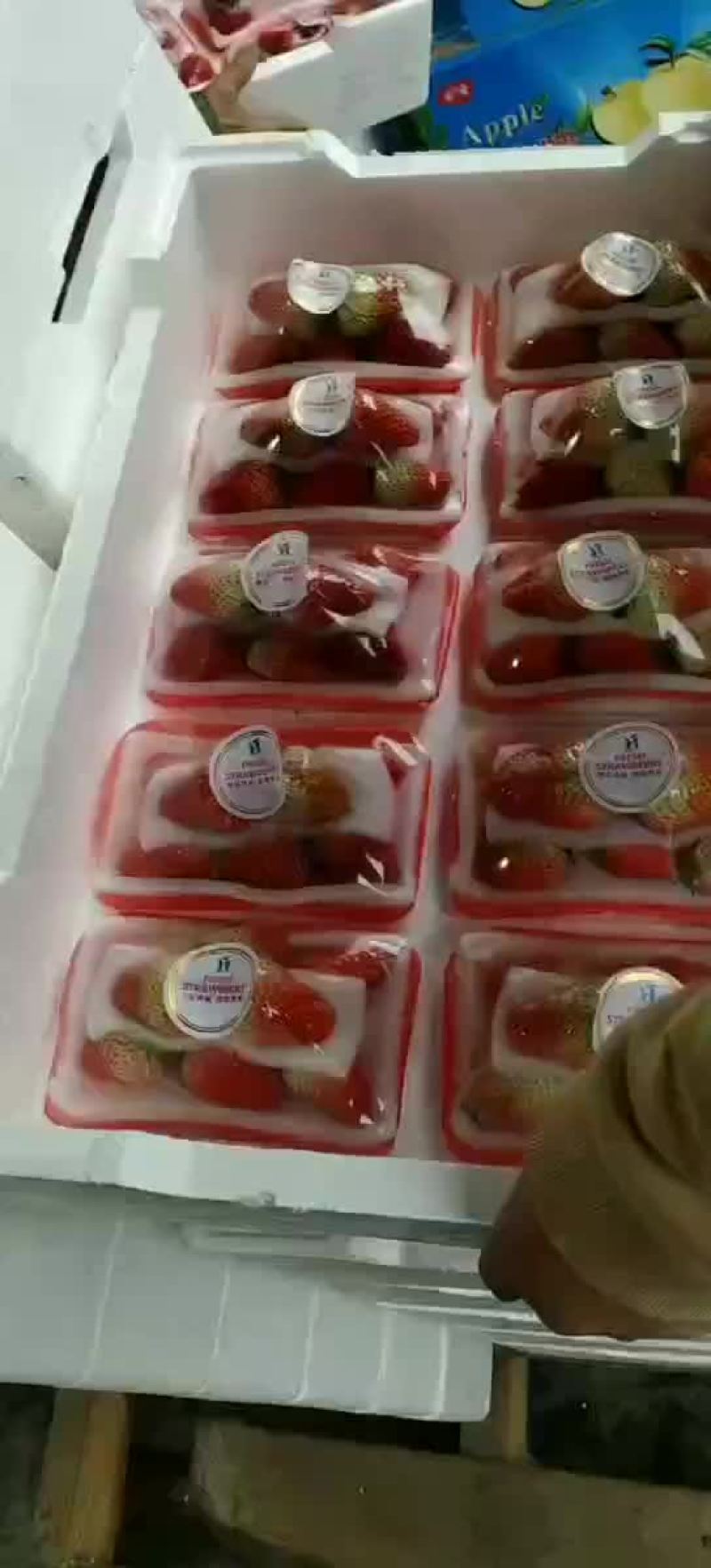 草莓