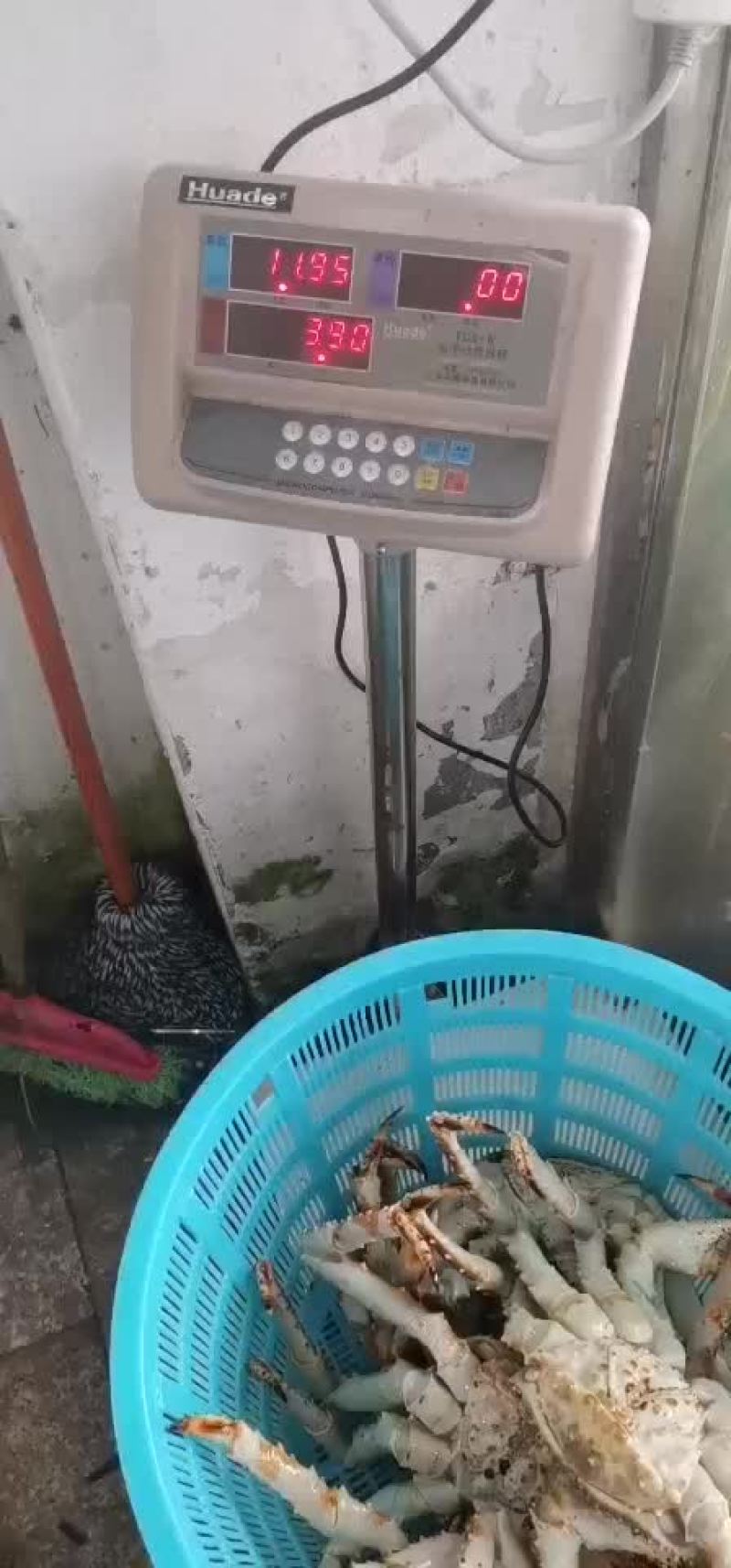 鲜活新鲜热销阿拉斯加帝王蟹全程视频空运物流