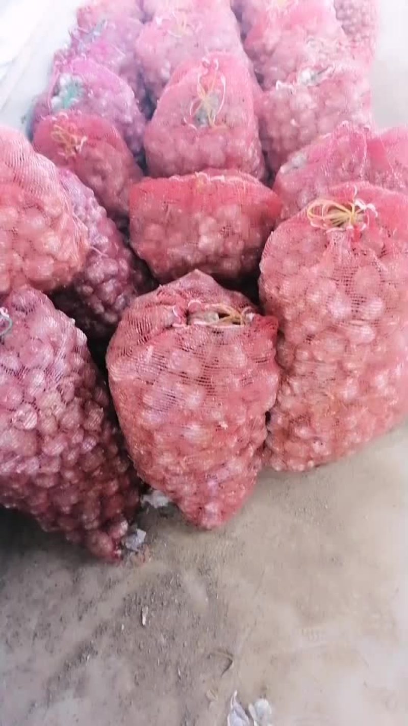 大蒜