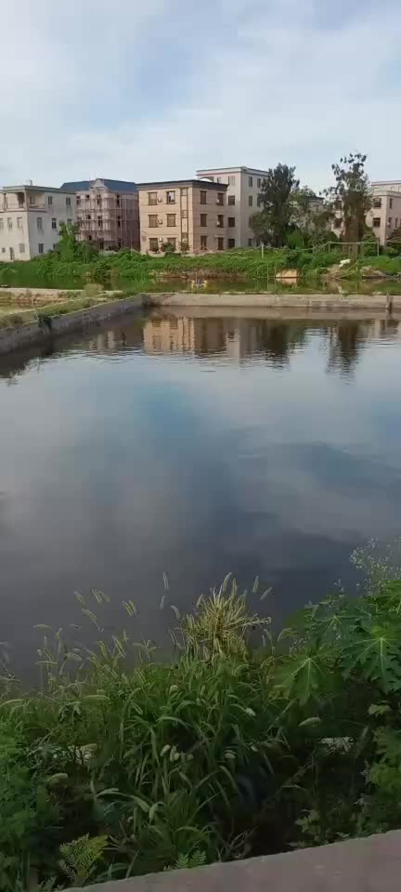 本地小青蟹需要联系，自产自销，规格2-3两