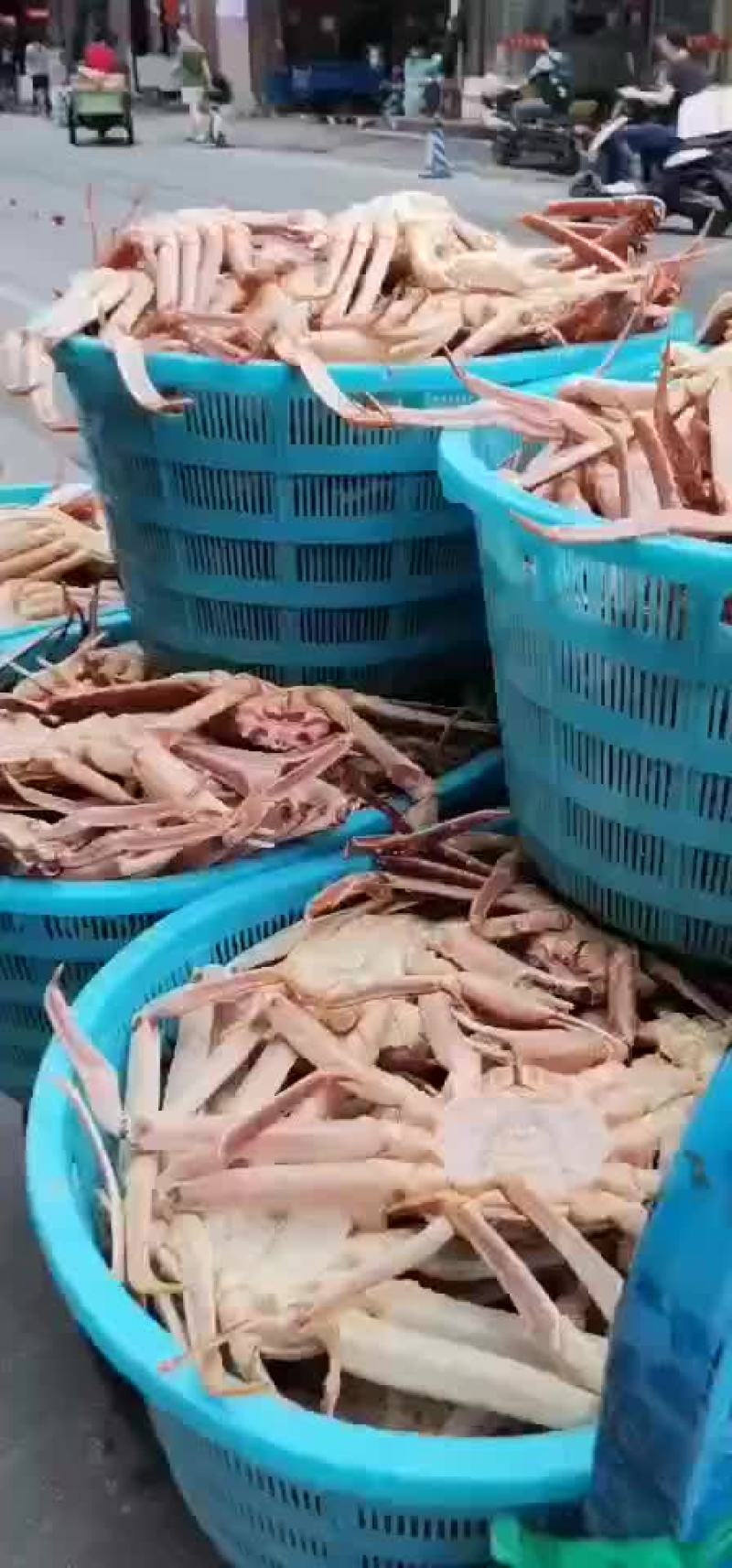 特价鲜活好吃的板蟹长脚蟹