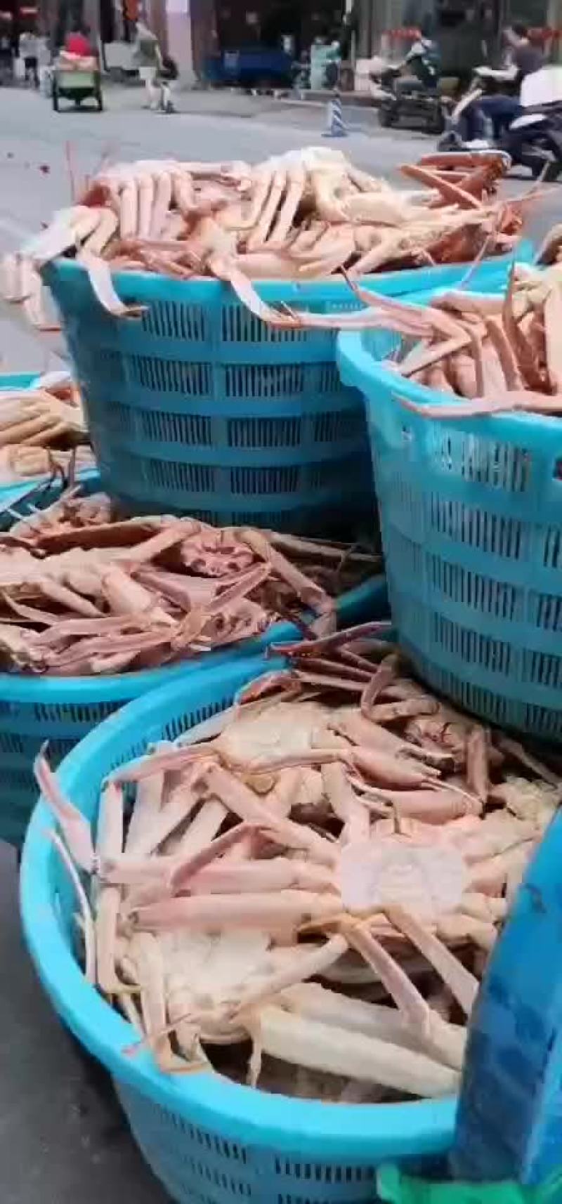 特价鲜活好吃的板蟹长脚蟹