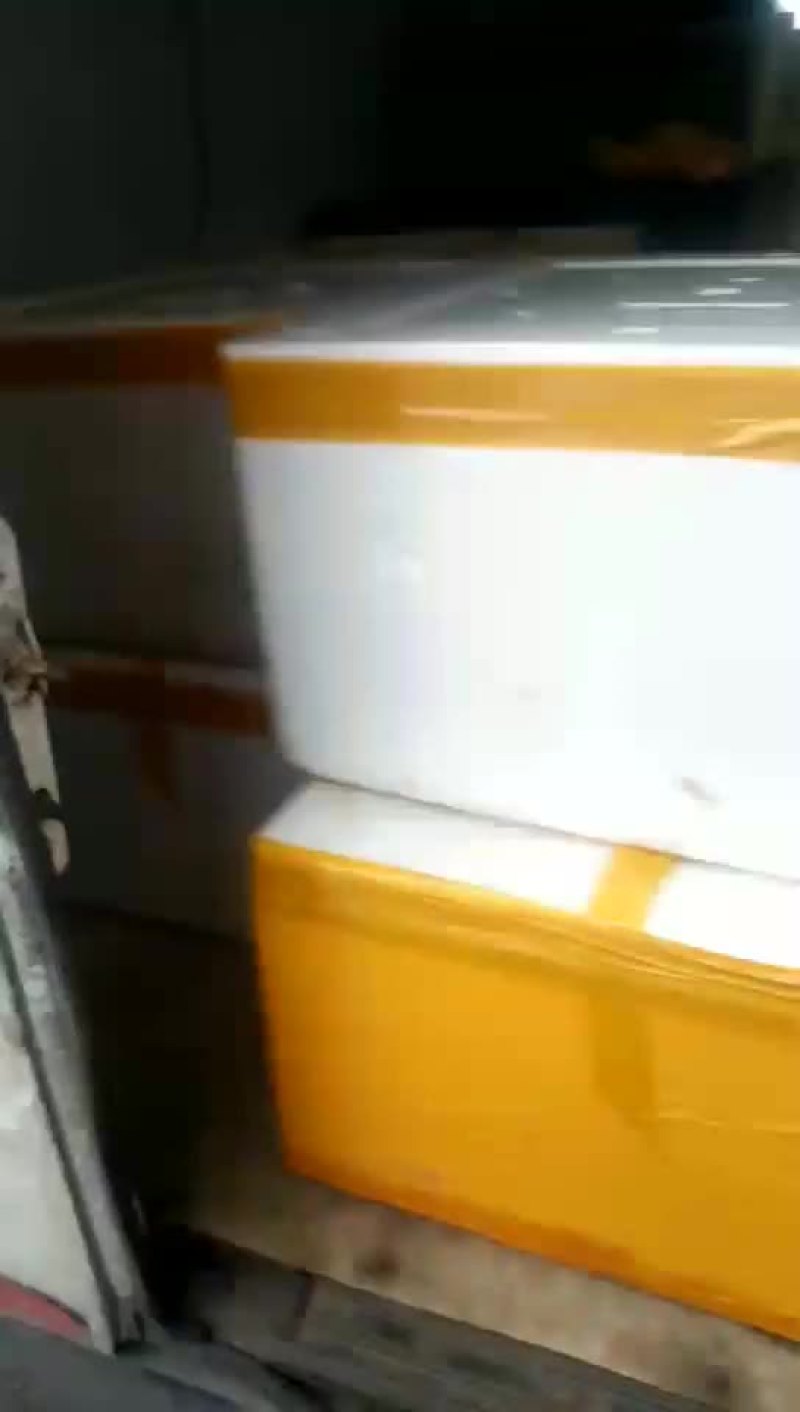 翘嘴白串条鱼大量共应