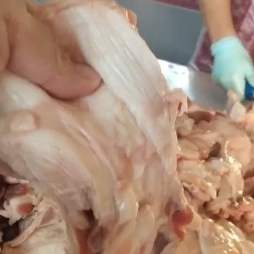 窝骨筋