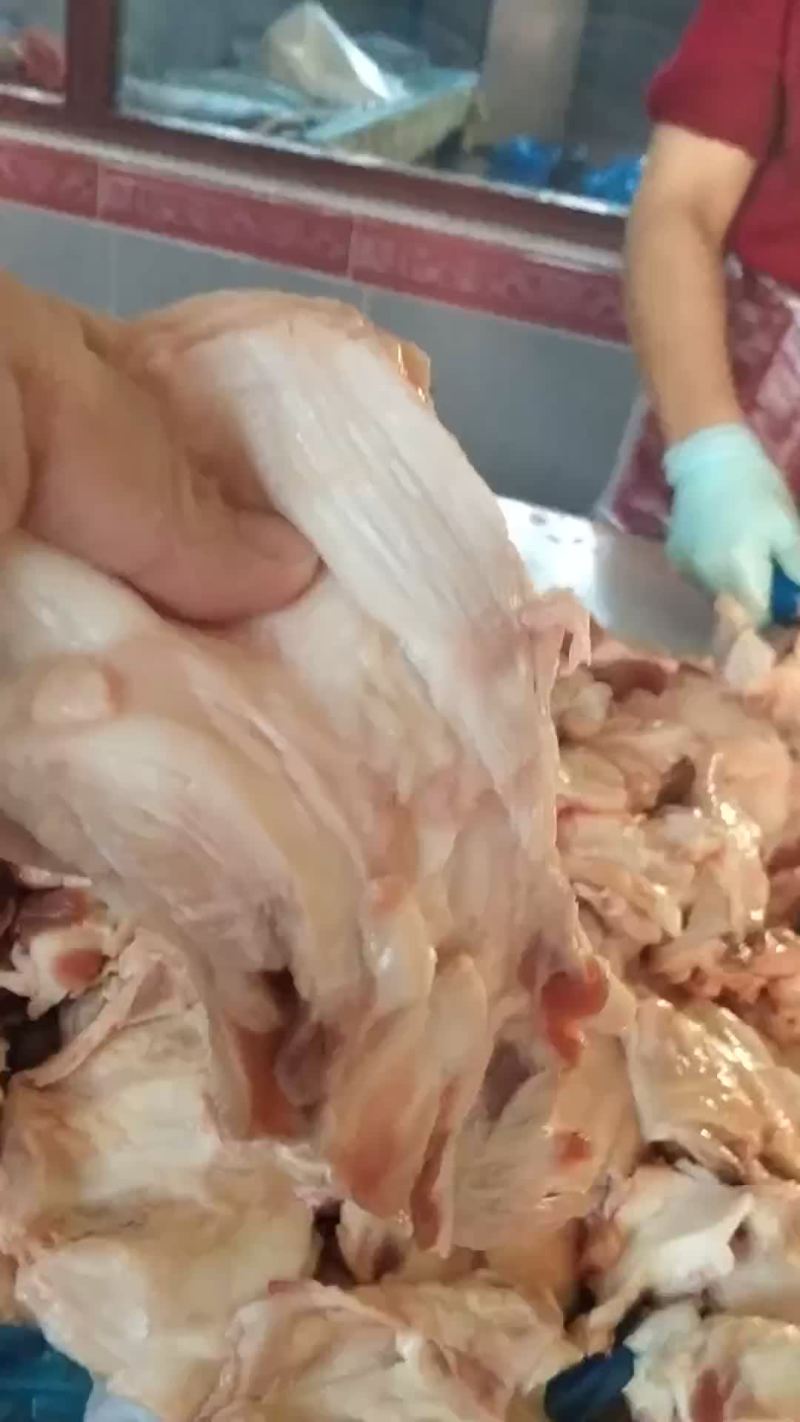 窝骨筋