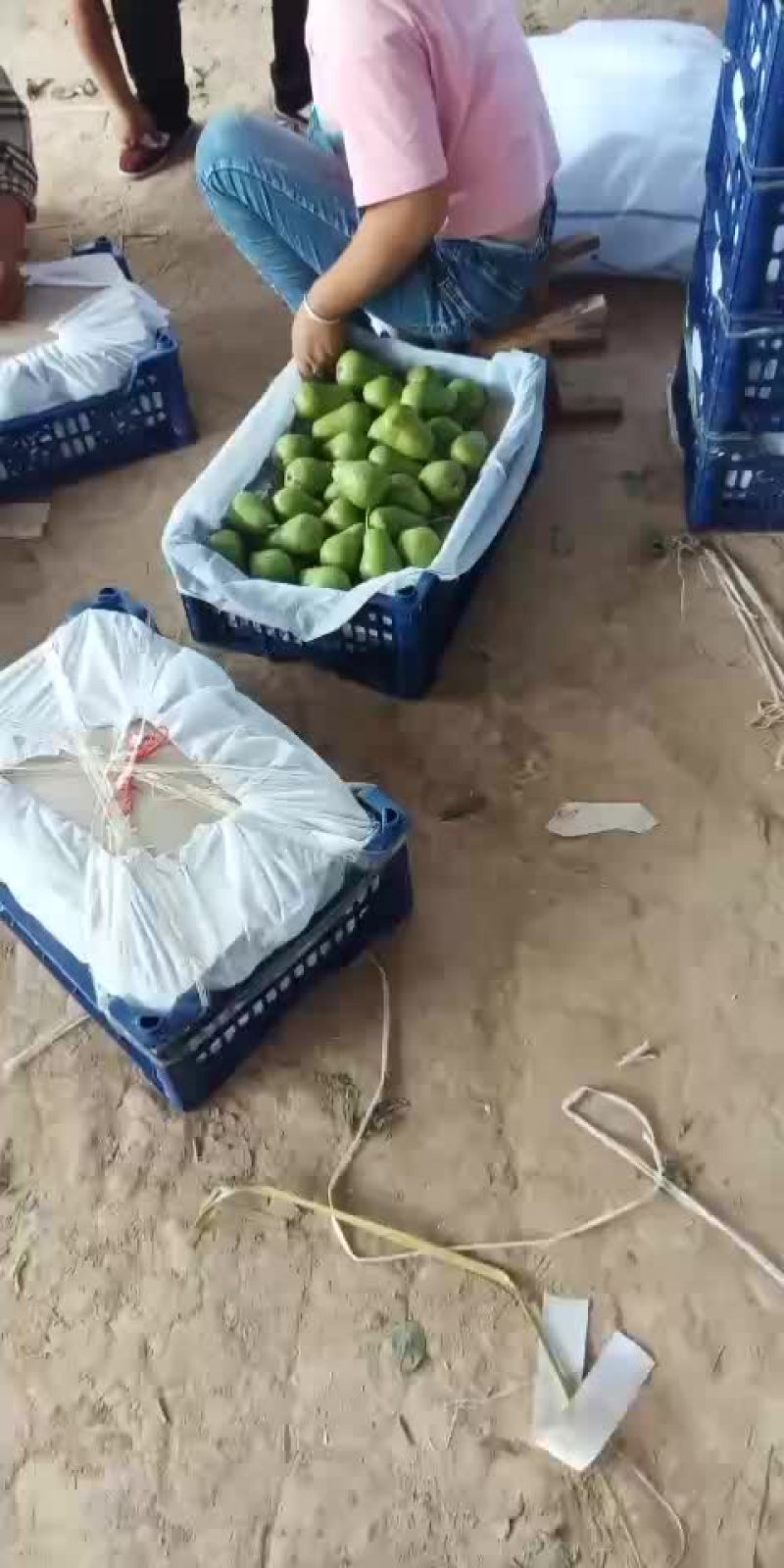 梨