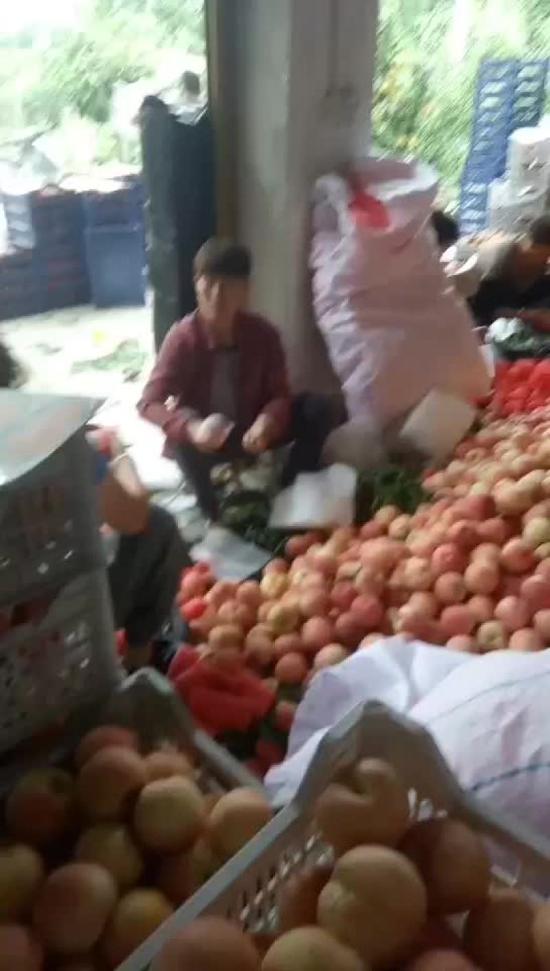 桃精品白桃质量好，量大有要的抓紧联系一五八五六二四四五四