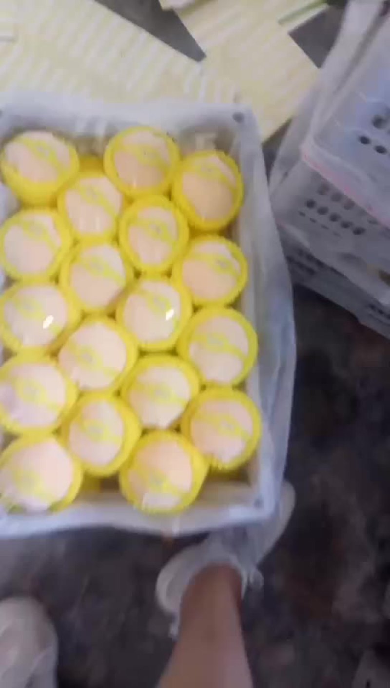 桃精品白桃质量好，量大有要的抓紧联系一五八五六二四四五四