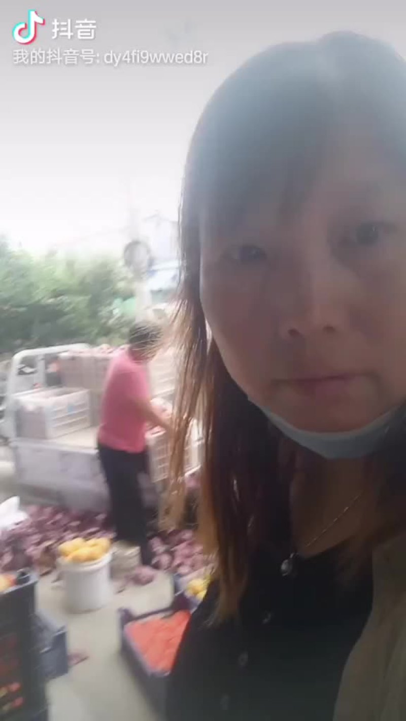 桃精品白桃质量好，量大有要的抓紧联系一五八五六二四四五四