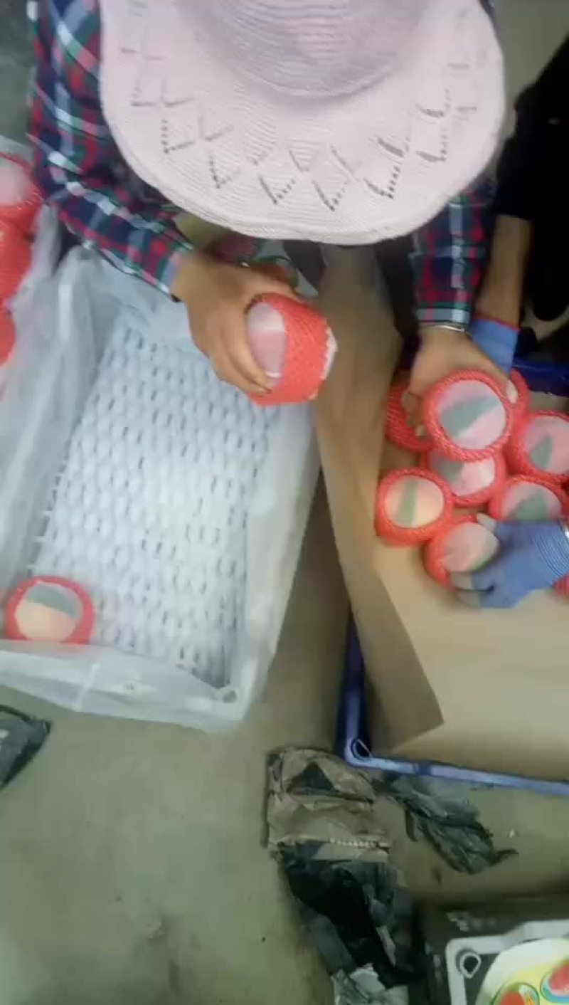 桃精品白桃质量好，量大有要的抓紧联系一五八五六二四四五四