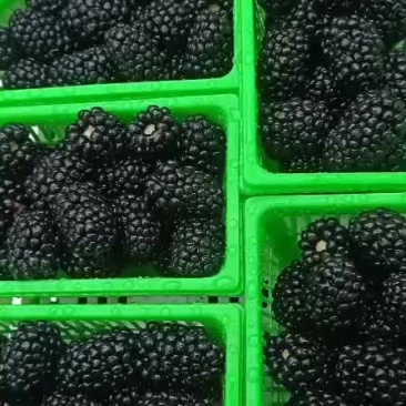 黑莓精品市场