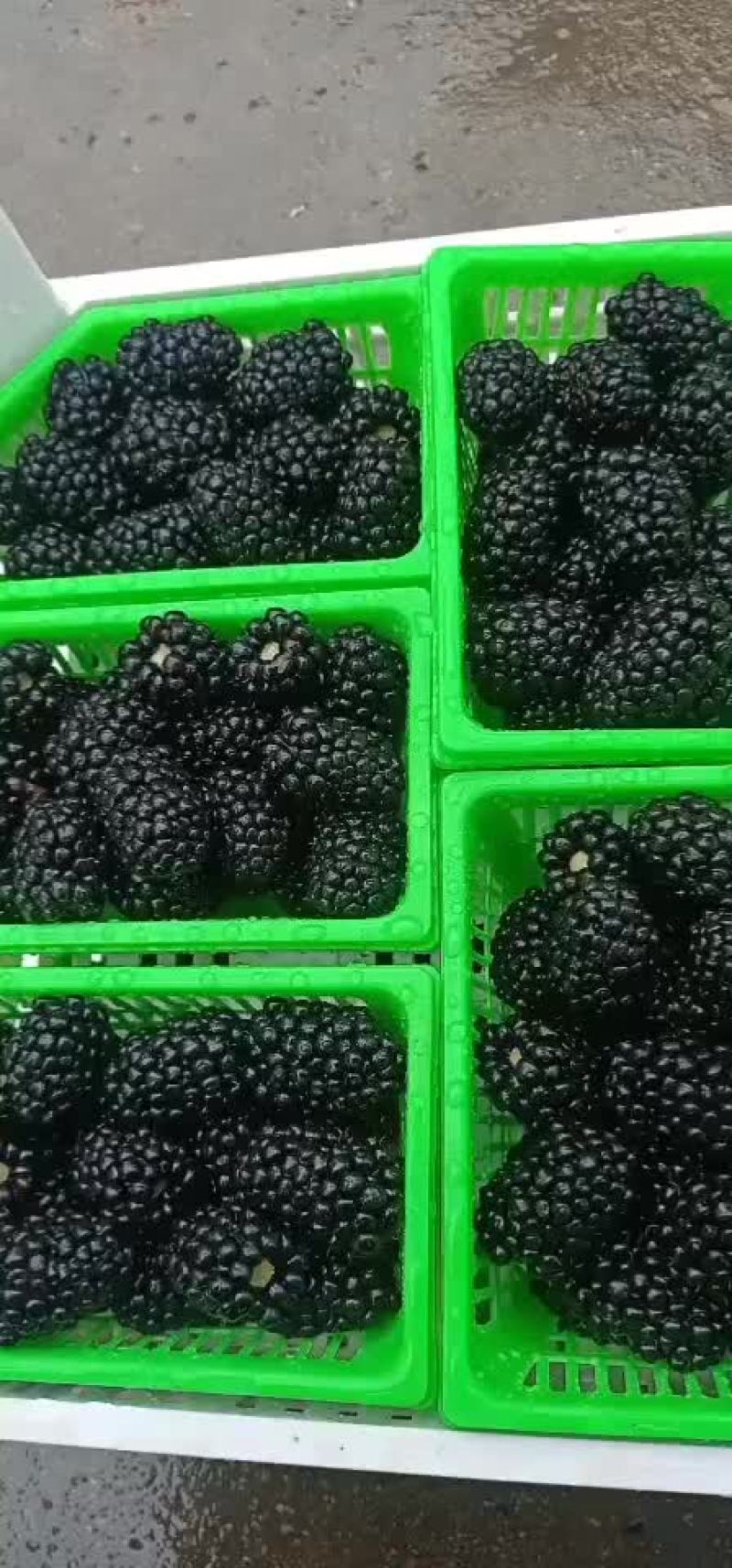 黑莓精品市场