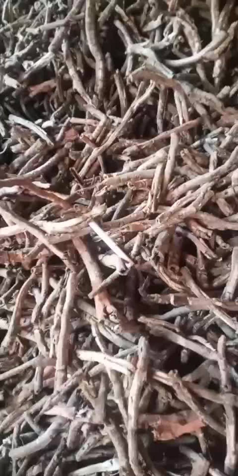 牡丹皮