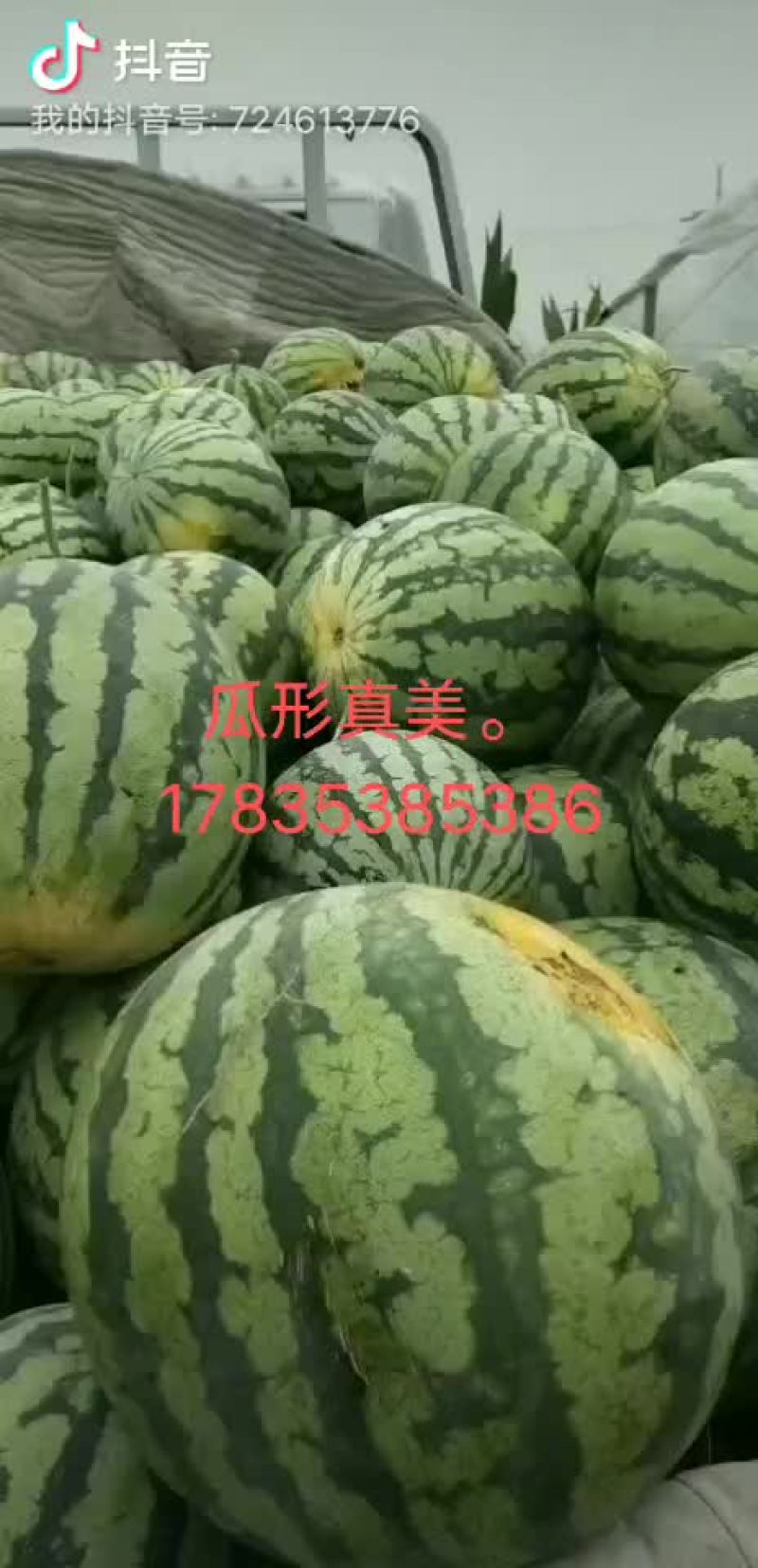 8424
