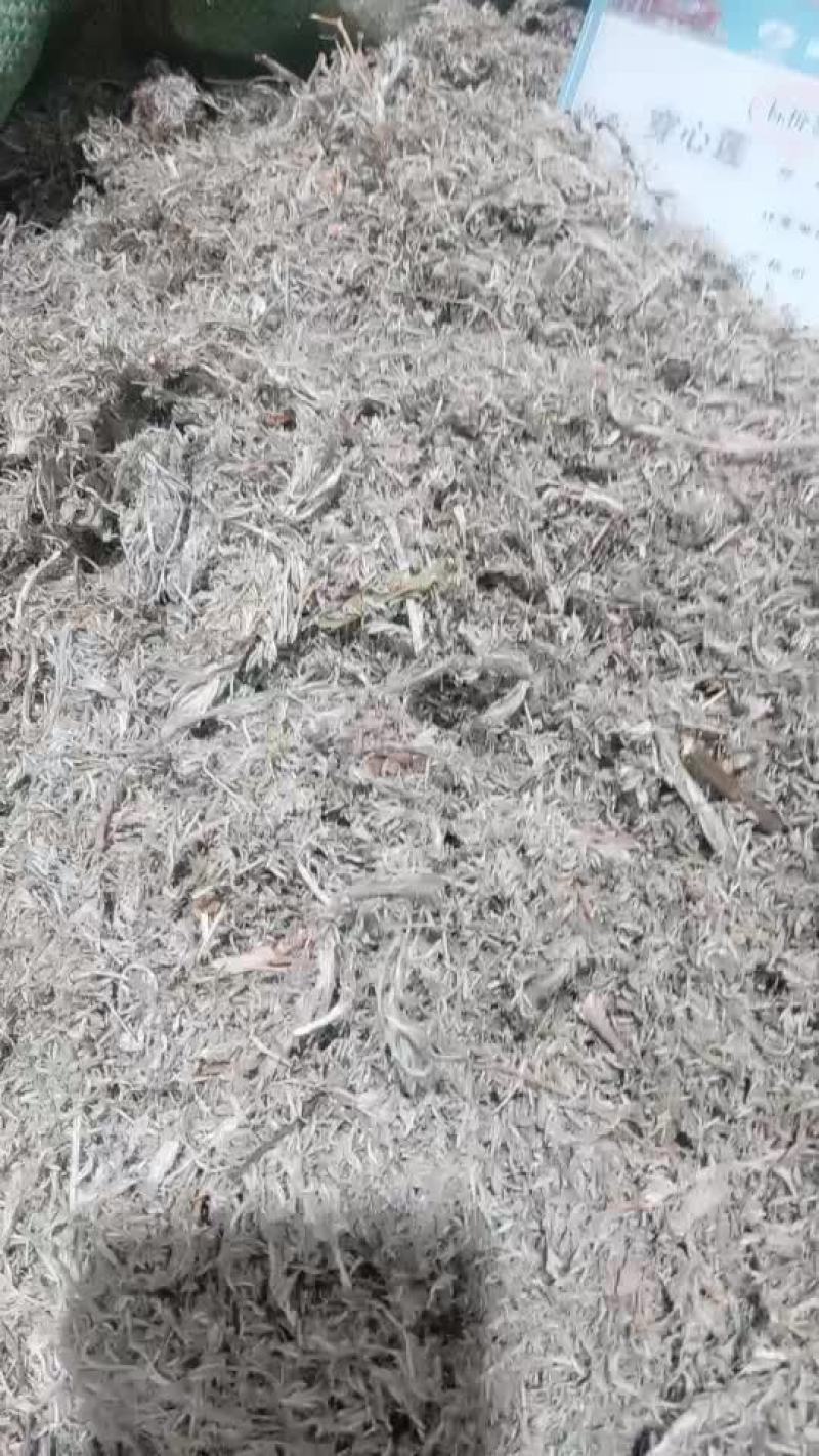 茵陈沂蒙山19年新货茵陈草野生新鲜包邮三月新货茶白蒿干货