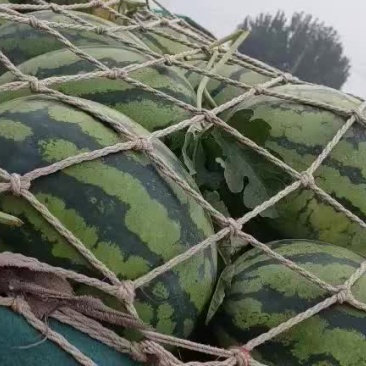 西瓜