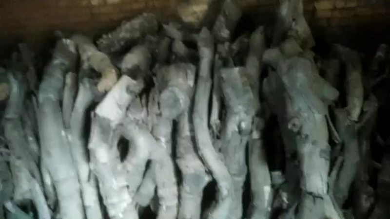 大量供应优质荔枝木炭
