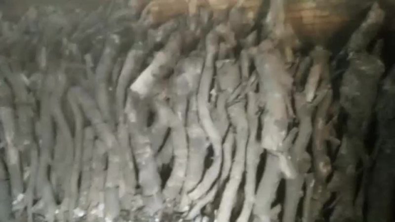 大量供应优质荔枝木炭