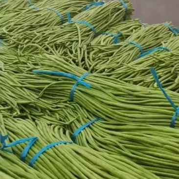 大量供应优质长豆角质量保障，价格合理！