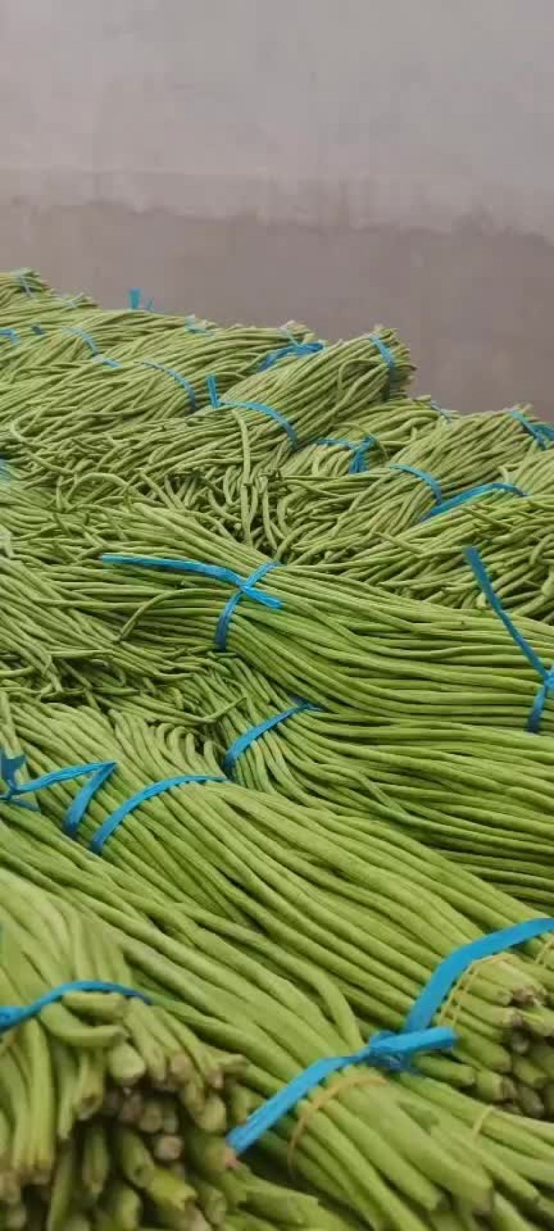 大量供应优质长豆角质量保障，价格合理！