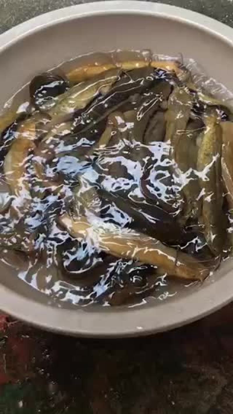 塘角鱼