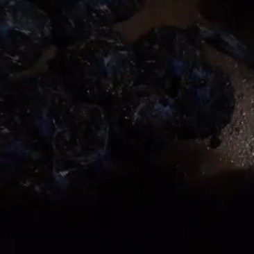 黑知了