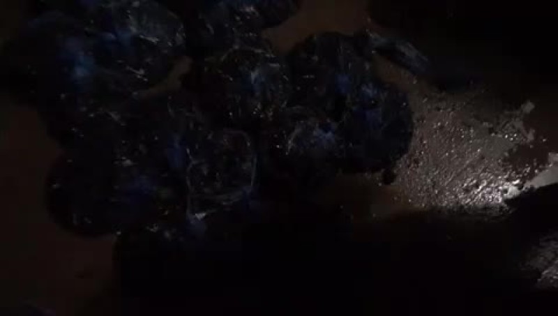 黑知了