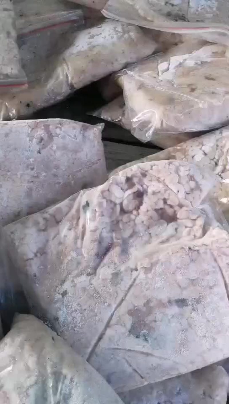 出售牛蛙苗，牛蛙油