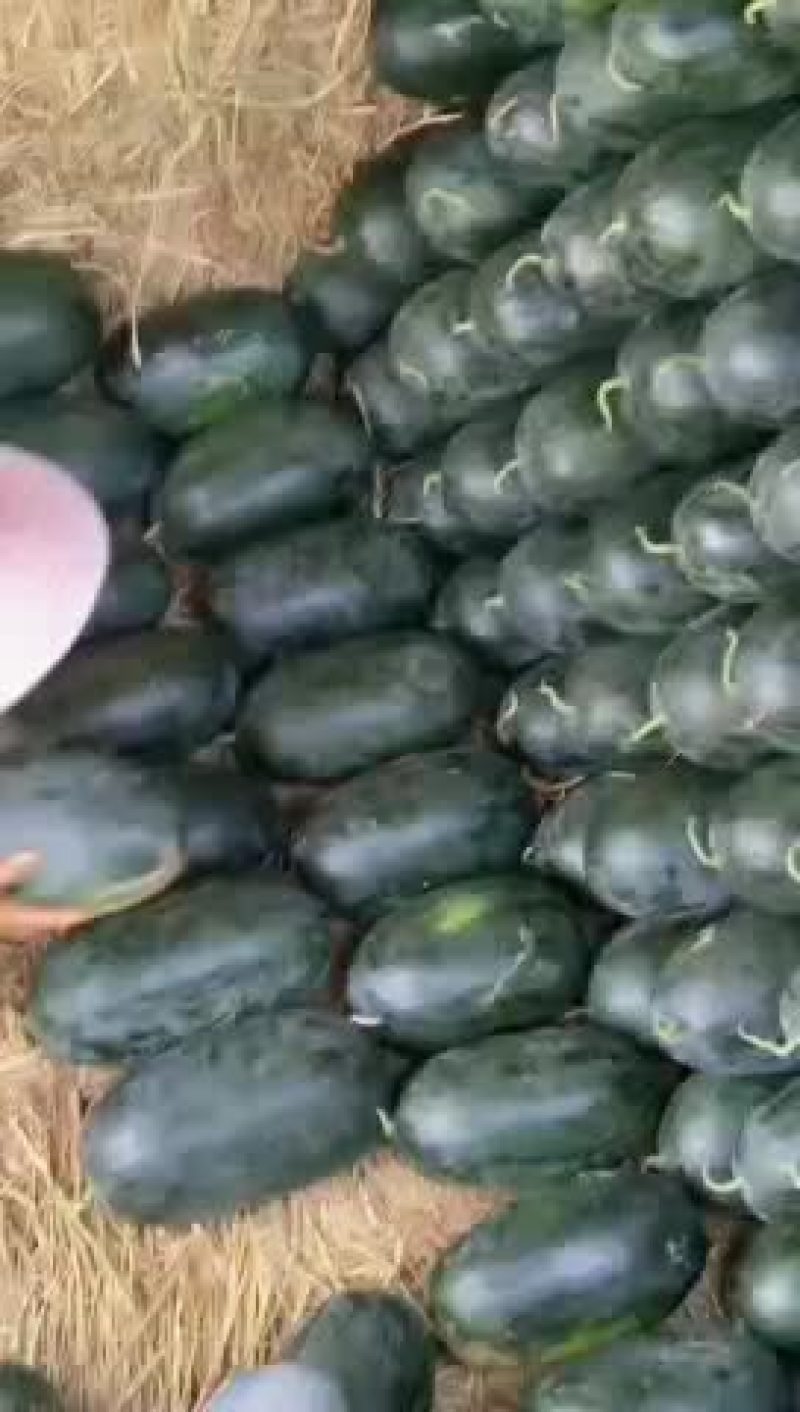 西瓜