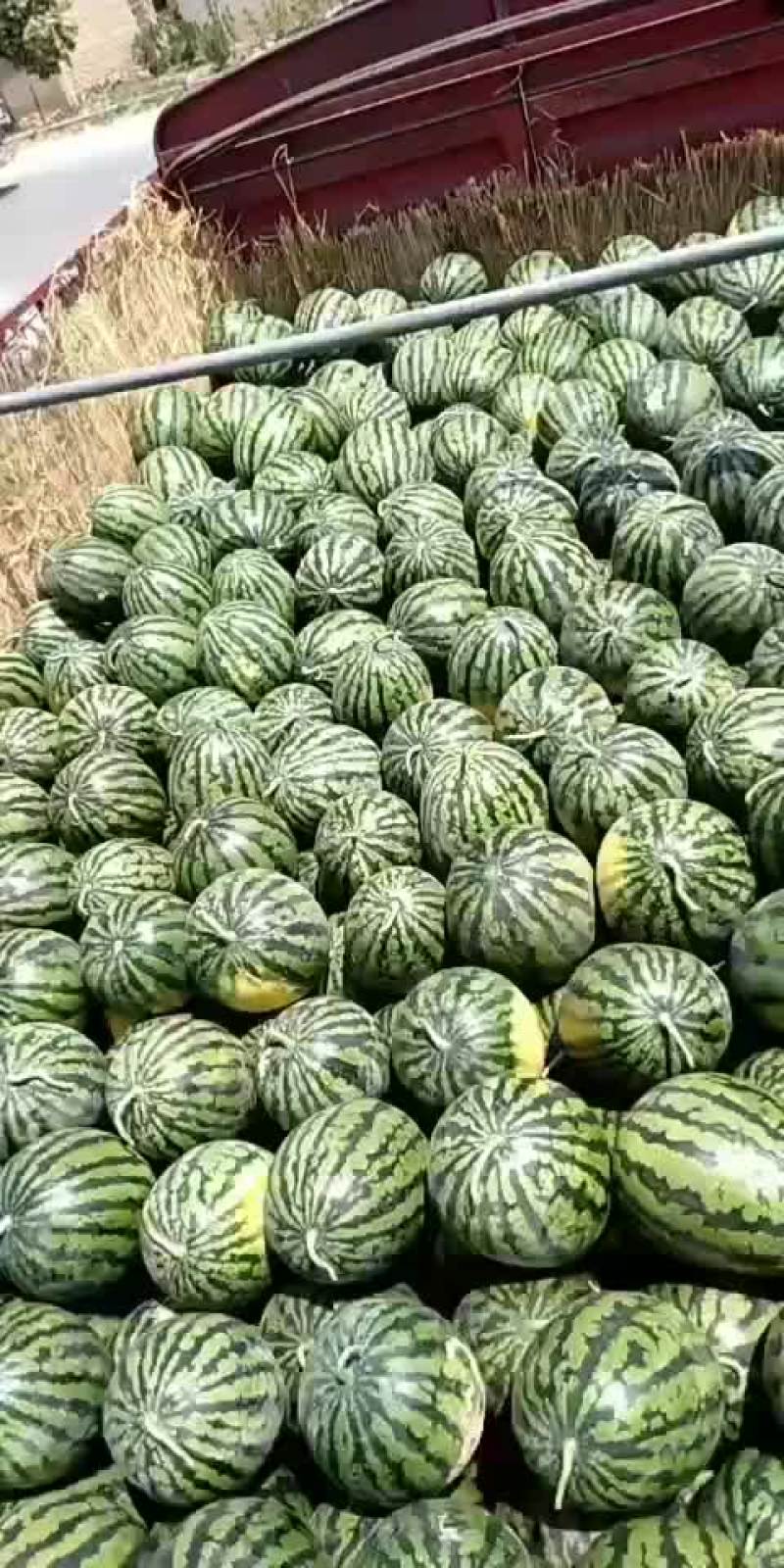 辽宁吉林精品甜王西瓜代发全国产地一条龙服务