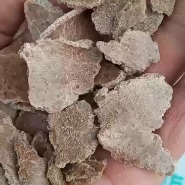 花生饼