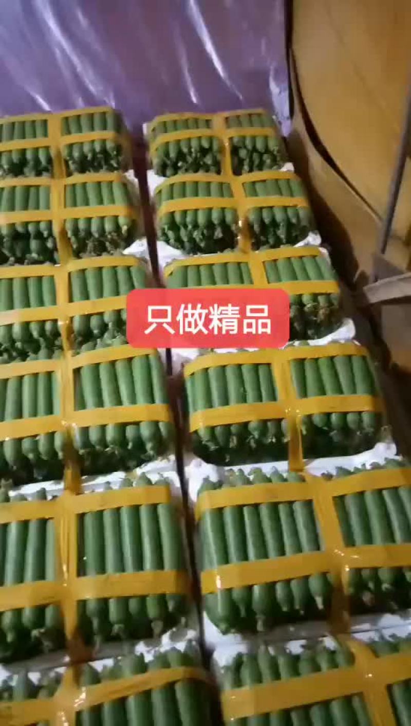 丝瓜