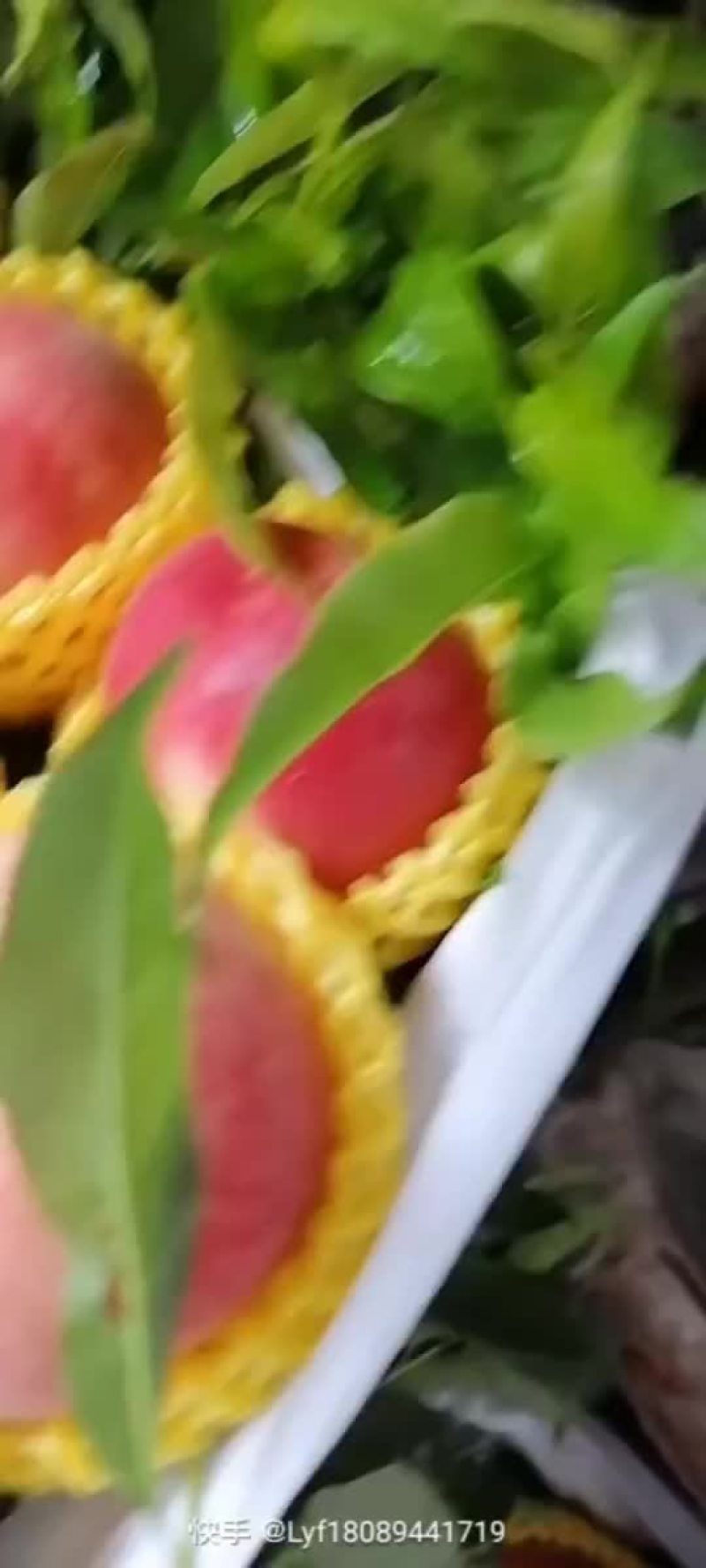 水蜜桃秦安蜜桃大量上市
