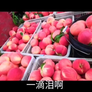 各种桃子，巴梨上市