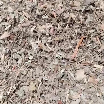 仙鹤草一斤装500g仙鹤草龙芽草脱力草狼牙草草龙牙100