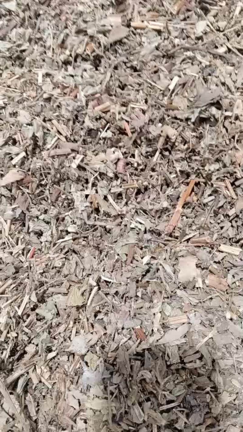 仙鹤草一斤装500g仙鹤草龙芽草脱力草狼牙草草龙牙100