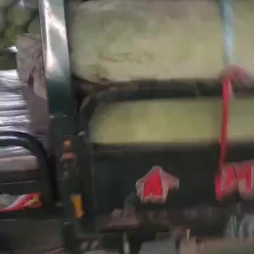 冬瓜，长白条冬瓜，